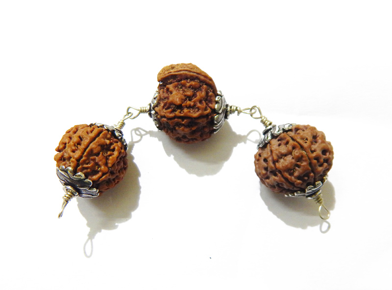 Laxmi Ganesha Rudraksha Shield