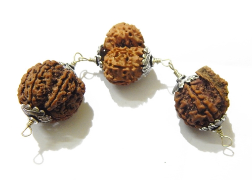 Shiva Family Rudraksha Shield