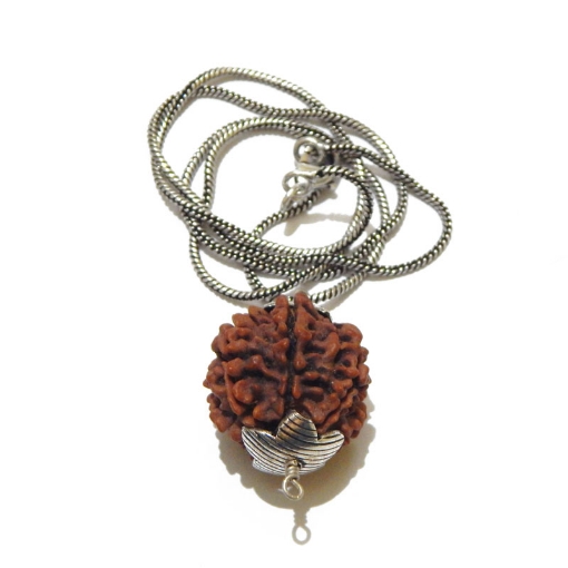 Rudraksha For Wealth and Prosperity