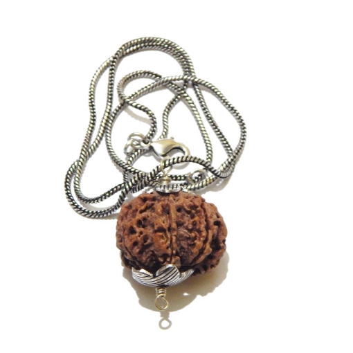 Rudraksha For Wealth and Prosperity