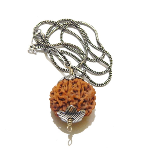 Rudraksha For Wealth and Prosperity
