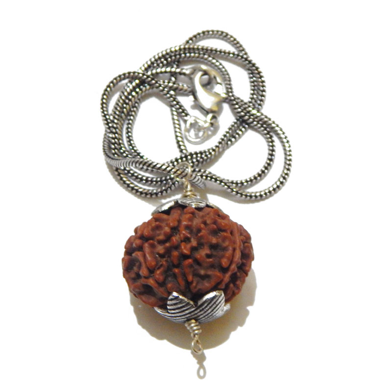 Rudraksha For Wealth and Prosperity